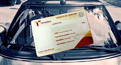 Licencia permanente en Tamaulipas: cómo tramitarla de manera rápida y sencilla en diciembre 2023