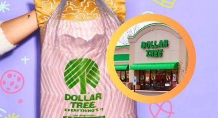 Dollar Tree: 10 regalos navideños que puedes comprar por menos de 2 dólares