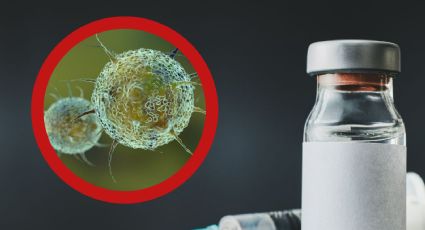 Autoridades en Laredo emiten alerta por 3 virus que pueden ser mortales; ¿cómo hay que protegerse?