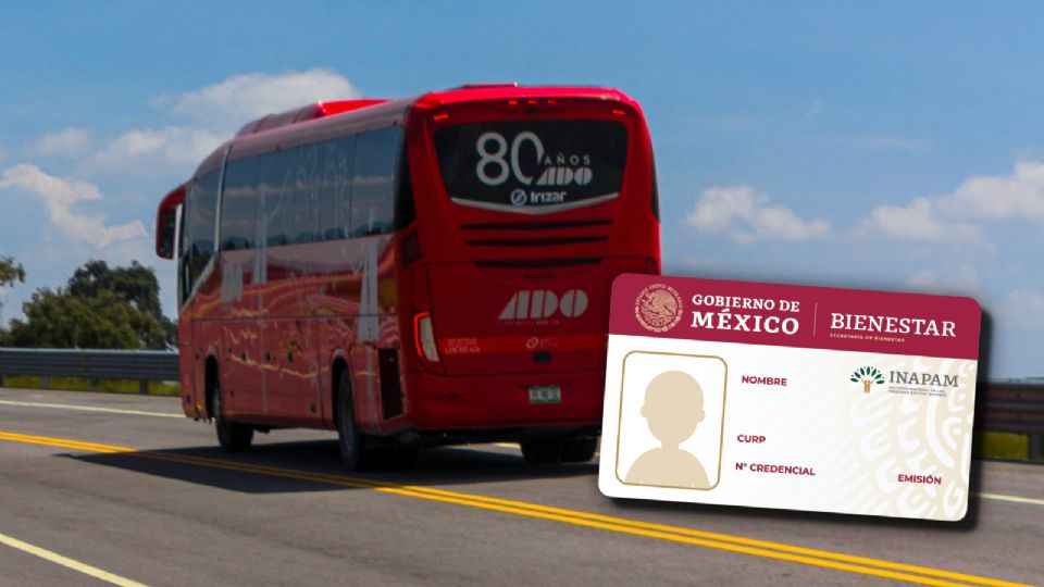 Estos autobuses dan descuento a los adultos mayores inscritos en el INAPAM