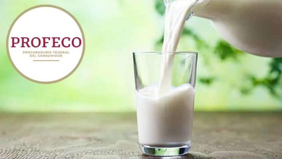 Si buscas una leche de calidad, aprobada por Profeco y a un precio accesible, no te pierdas esta recomendación de la dependencia que cuida tu bolsillo