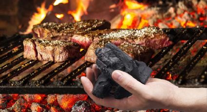 ¿Cuál es el carbón que debe usarse para asar una carne en la parrilla?