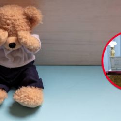 ¿De qué falleció Emily, la niña que defendió hasta la muerte a su hermanos de la golpiza de su padre?