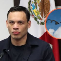 Julio César Chávez Jr. vuelve al ring en Tamaulipas: ¿Cómo se encuentra su situación judicial?