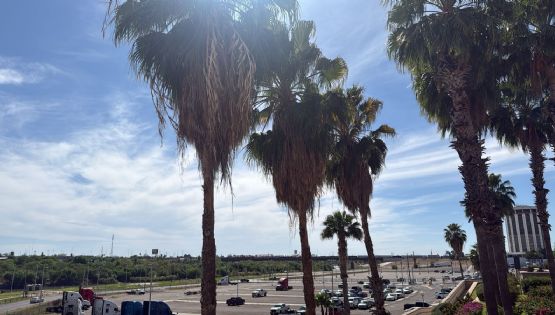 Nuevo Laredo: alertan por riesgo de incendios; fuertes vientos de hasta 65 km/h pegarán en la noche por la entrada del Frente Frío 41