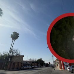 Aironazo sacude a Nuevo Laredo; ráfagas de viento de hasta 70 km/h traen frío a la frontera | VIDEO