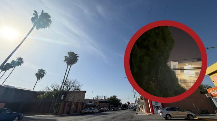 Aironazo sacude a Nuevo Laredo; ráfagas de viento de hasta 70 km/h traen frío a la frontera | VIDEO