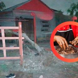 Muere joven taquero tras ser arrollado por una camioneta en Matamoros; los responsables abandonaron el vehículo y huyeron