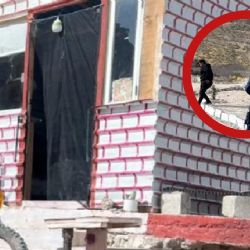 Horrible momento: mujer se despierta viendo morir a su marido; así fue la tragedia