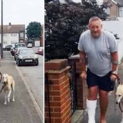 Hombre en muletas gasta dineral en Rayos X para su perro ‘cojo’ y descubre que él lo imitaba VIDEO