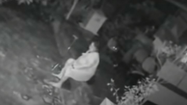 VIDEO: Mujer se defiende del ataque de un leopardo con un bastón