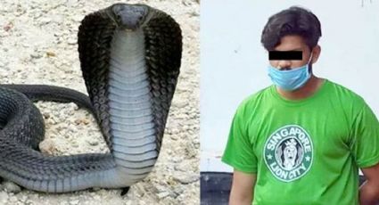 Hombre mata a su esposa haciendo que cobra le mordiera cuando dormía