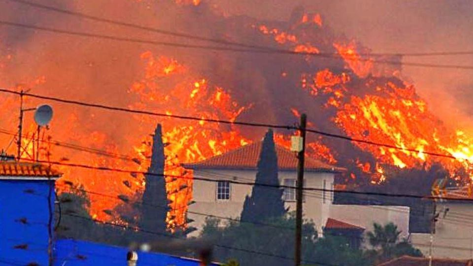 Los perros se encuentran acurrucados dentro y alrededor de un patio lleno de ceniza y aislado por la lava