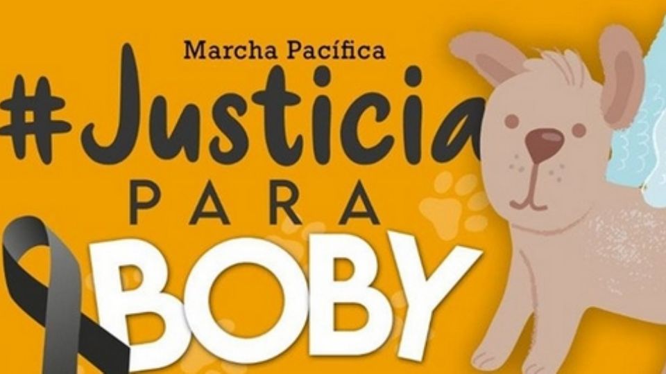 Hombre en Tangamandapio, Michoacán le provoca la muerte a un perrito.