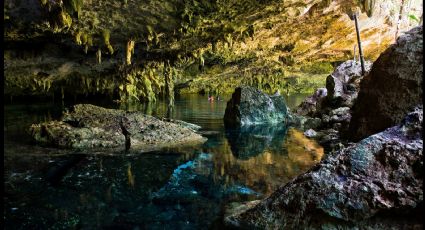 Encuentran pinturas rupestres después de realizar la limpieza de un cenote en Yucatán