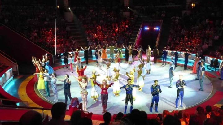 VIDEO: Graban el momento en que oso ataca a mujer en un circo ruso