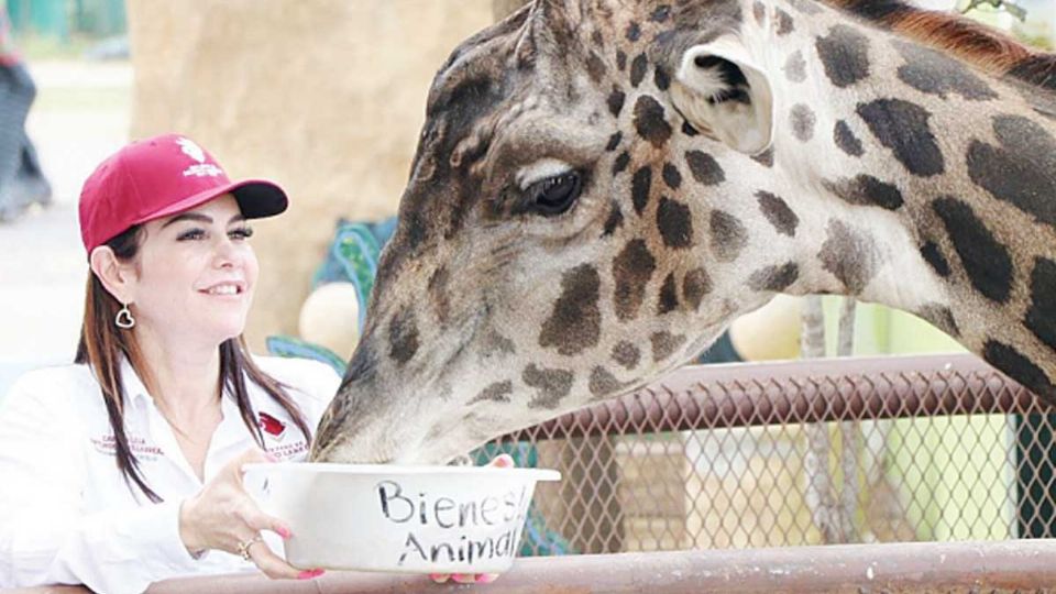 Carmen Lilia Canturosas expresó que trabajarán para regresar la dignidad al zoo.