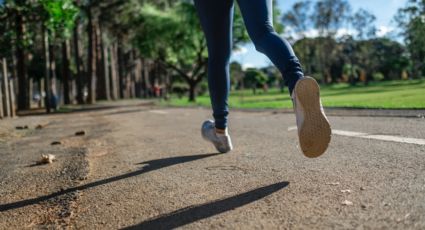 Colocan programas virtuales de entrenamiento en parques de Laredo, Texas