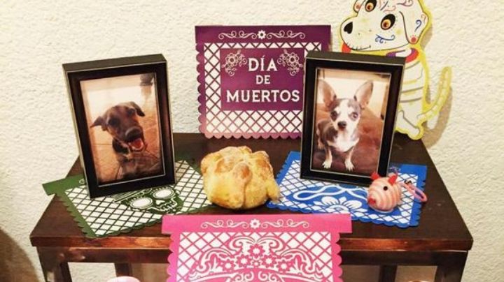¿Cuándo vienen las mascotas este Día de Muertos?