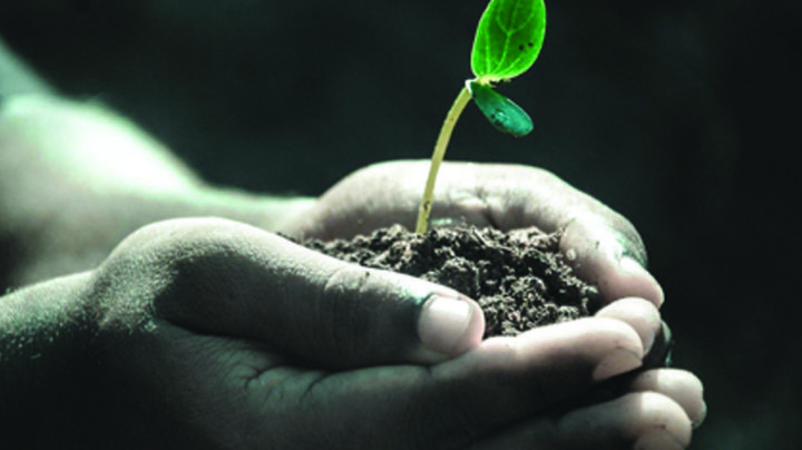 Beneficios de tener tu seguro empresarial en Todo Seguros