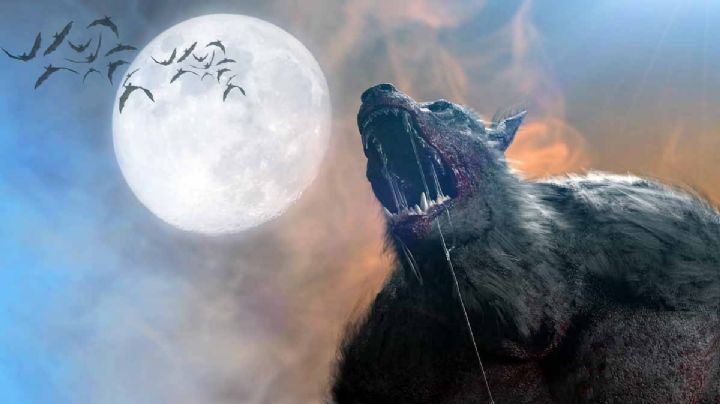 ¿Existen los nahuales?