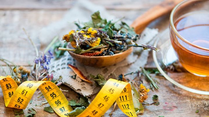 Tes para adelgazar rápido: Estas son las infusiones que te harán perder peso