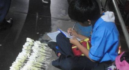 Pequeño estudia en las calles mientras vende flores; quiere ayudar a su familia