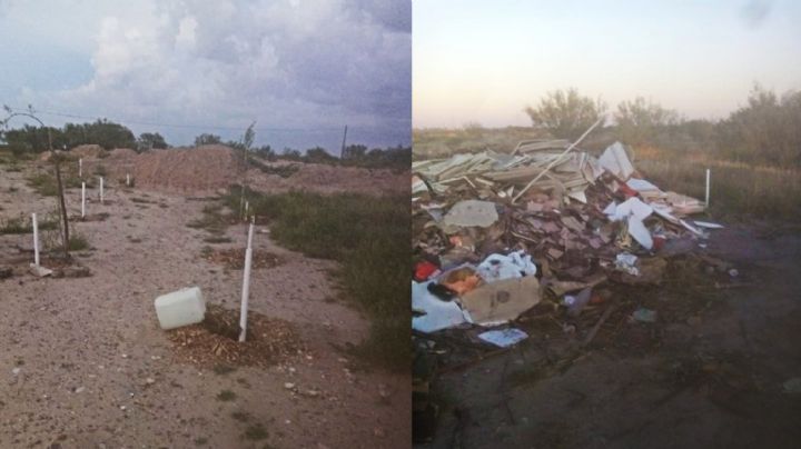 (VIDEO) Tiran basura  en las áreas reforestadas de la ruta del jabalí