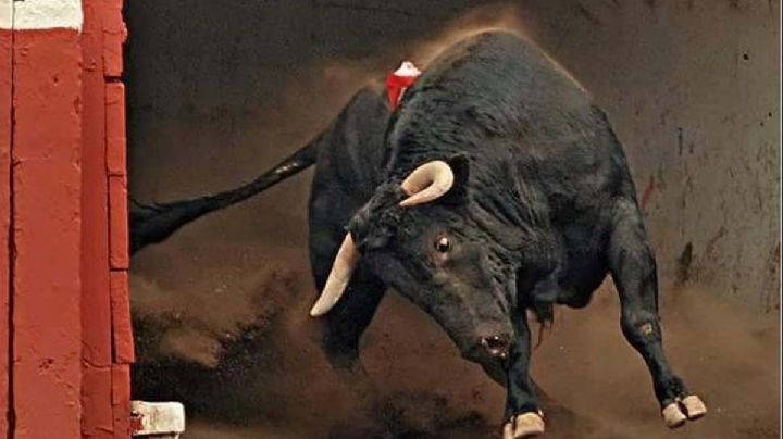 VIDEO: Muere un hombre tras ser corneado en los festejos taurinos en España