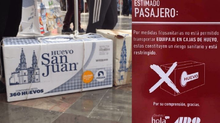 Línea de autobuses prohíben equipaje en cajas de huevo