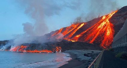 VIDEO: ¡Increíble! Rescatan miles de abejas enterradas bajo cenizas del volcán en La Palma