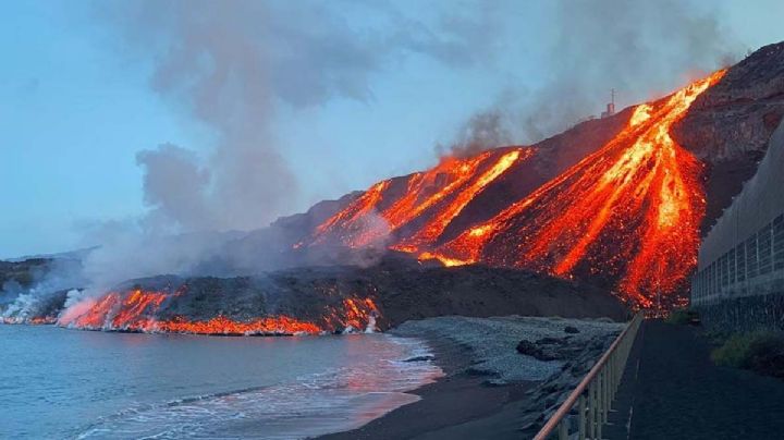 VIDEO: ¡Increíble! Rescatan miles de abejas enterradas bajo cenizas del volcán en La Palma