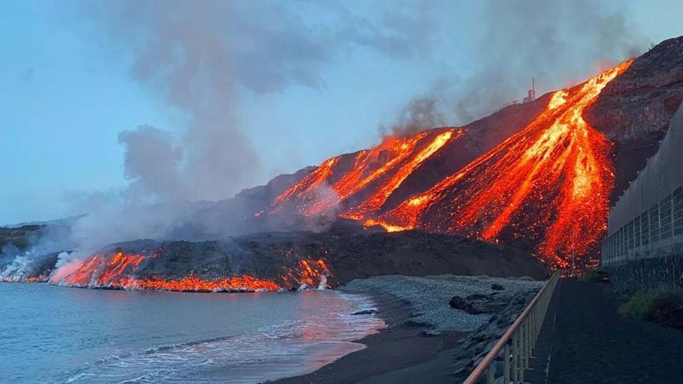 El rescate se realizó el pasado sábado, fueron cinco colmenas de abejas las encontrados en los alrededores del volcán La Palma