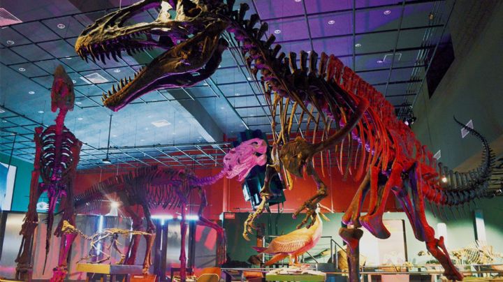 Hoy reabren los museos del Centro Cultural de Nuevo Laredo