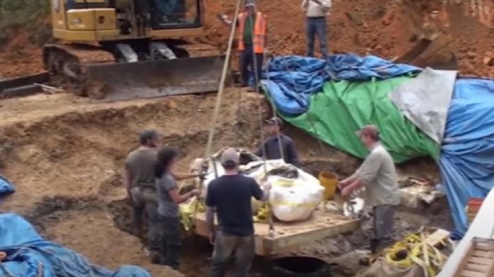 VIDEO: Descubren en Missouri nueva especie de dinosaurio