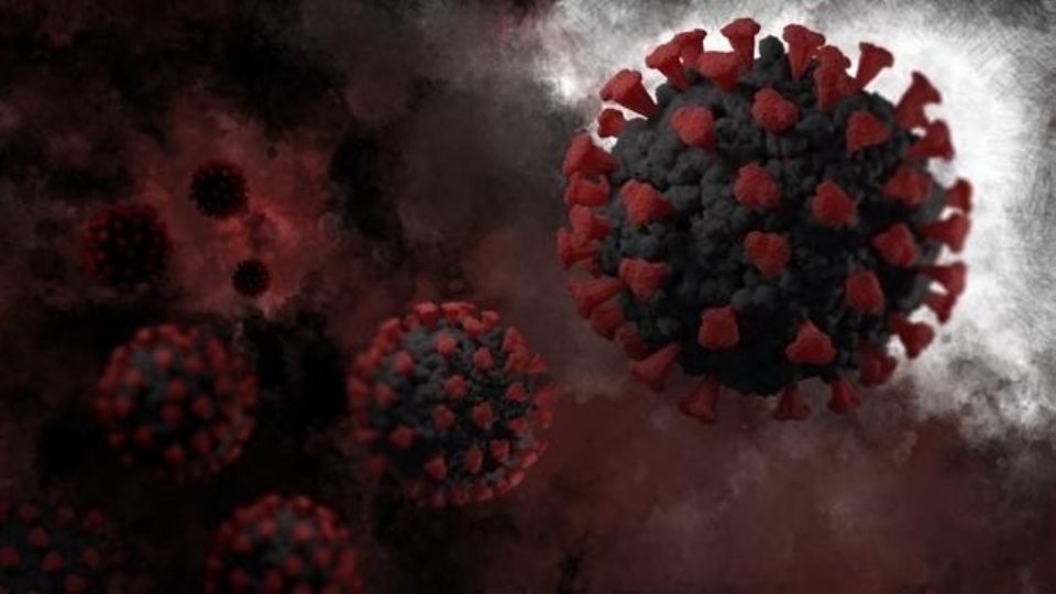 El virus presenta una alta gama de mutaciones, lo que la hace potencialmente peligrosa