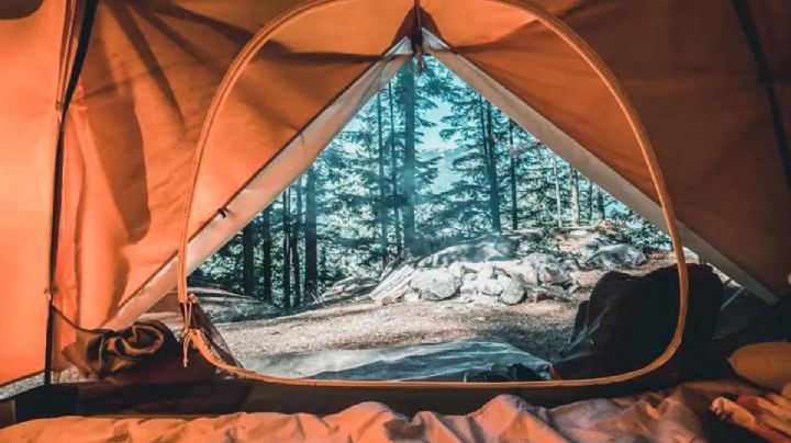 INCREÍBLE: Encuentran “viva y sana” a niña que se perdió 18 días en campamento