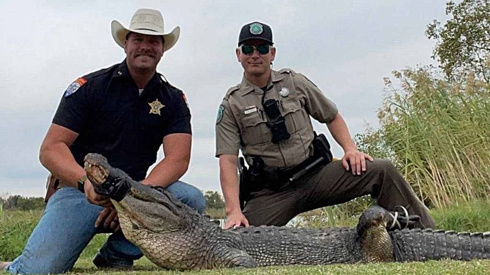 El reptil medía 3 metros de longitud