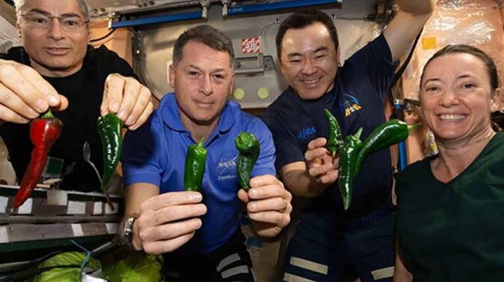 ¡Se descompone el baño en la nave SpaceX! Astronautas tendrán que usar pañal