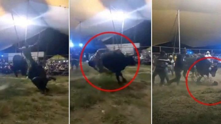 Video sensible: Jinete de 15 años muere en jaripeo al ser pisoteado por toro.