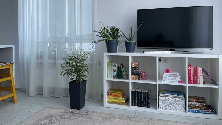 Televisores: ¿Qué debemos tener en cuenta para elegir el mejor?