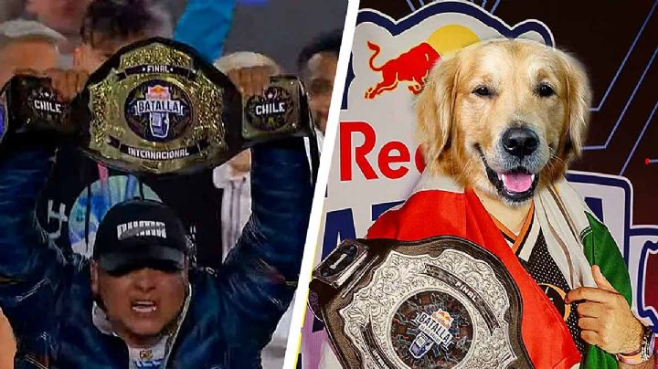 VIDEO: Perro se cuela a una final de freestyle rap y se vuelve el rey de la noche