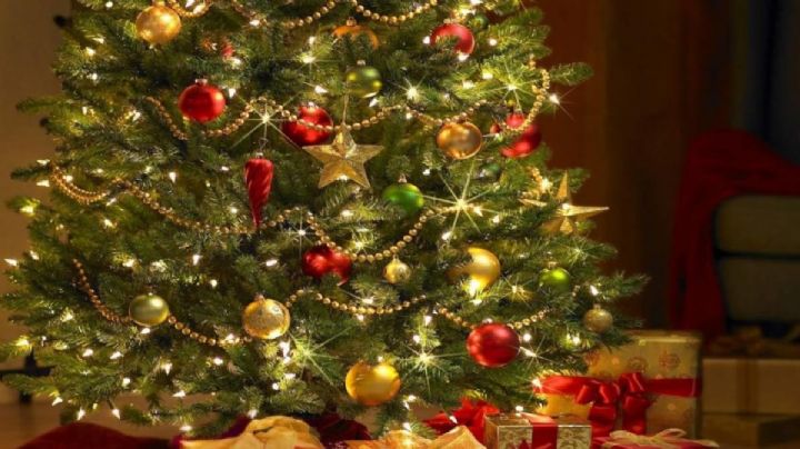 Tacaño nivel: compra un árbol de Navidad en diciembre y lo devuelve en enero con todo y reembolso