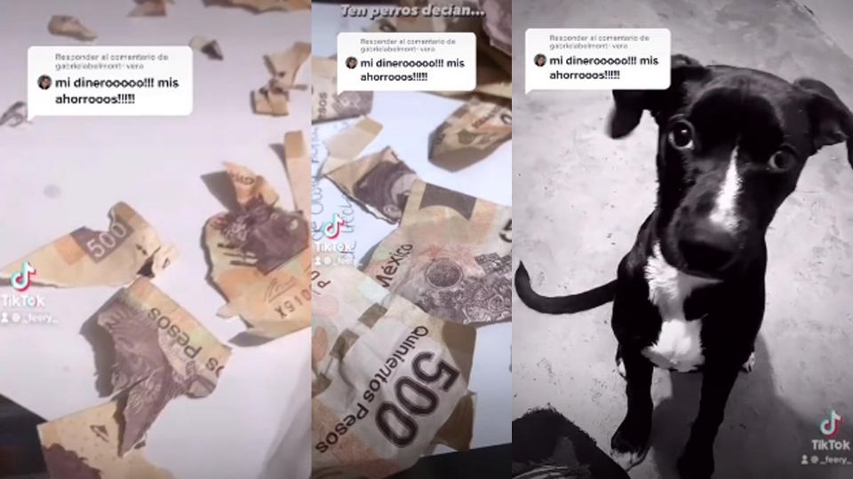 El video que se ha vuelto viral en TikTok ya cuenta con más de 4 millones de likes y múltiples comentarios