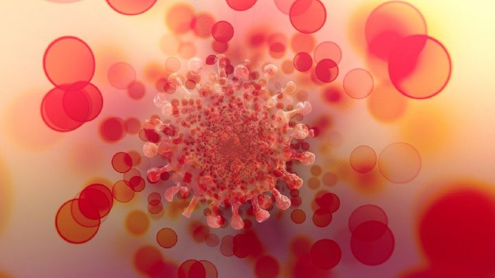 Estados Unidos da a conocer plan para enfrentar variante Ómicron de coronavirus