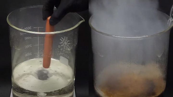 TikTok: VIDEO de salchicha desaparecida en ácido se ha visto más de 10 millones de veces