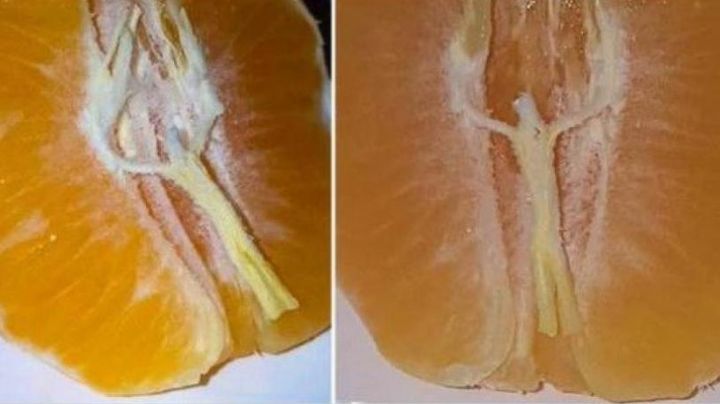MILAGRO... Hombre asegura que Cristo se le apareció en una mandarina