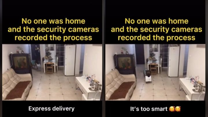 (Video)¡Sorprendente! Lomito abre la puerta, recibe paquetería, espanta a el repartidor y cierra la puerta