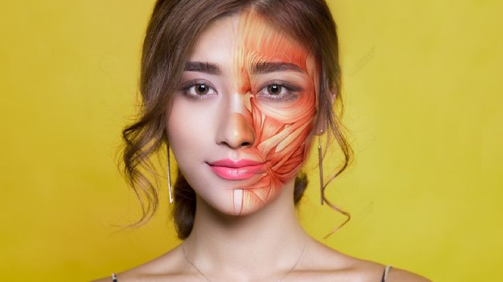 Científicos descubren nueva parte del cuerpo humano: ¿Cómo se llama y para qué sirve?