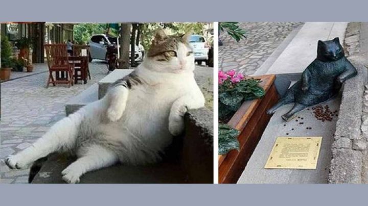 Le levantan un monumento a gato callejero; conoce lo que hizo Tombili para tal homenaje